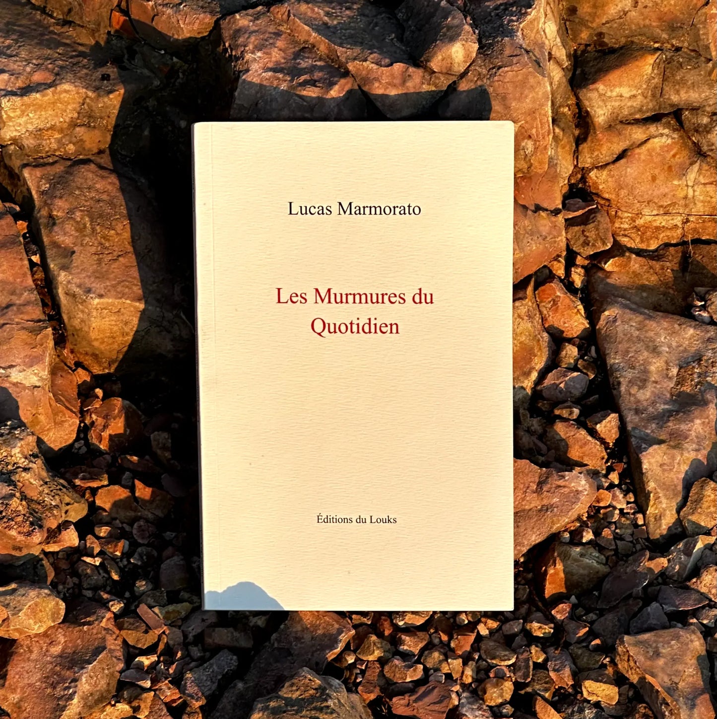 Les Murmures du Quotidien